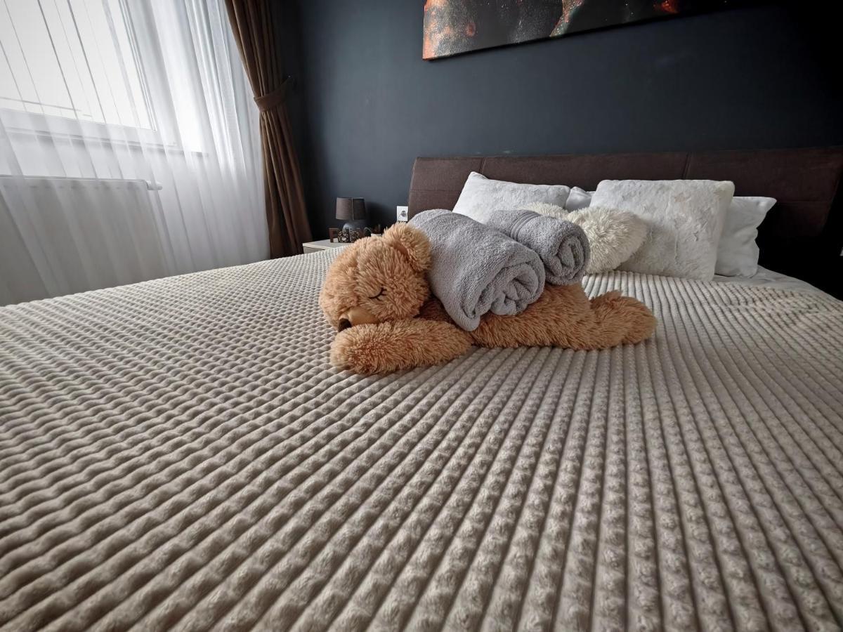 Luxurious Landing Apartment Braşov Esterno foto